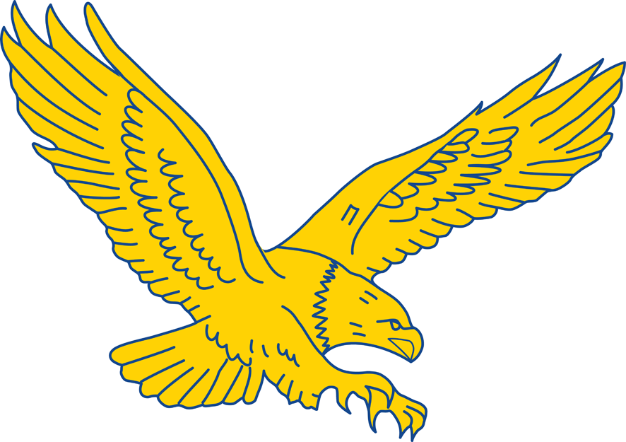 Coppin State Eagles 2004-Pres Secondary Logo v2 diy iron on heat transfer